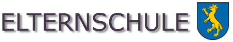 Auto Billwiller Biberach Riss